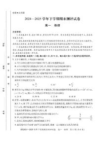 河南省安阳市滑县2024-2025学年高一下学期期末测评物理试卷（无答案）