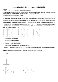 2026届湖南省长沙市宁乡一中高三冲刺模拟物理试卷含解析