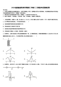 2026届湖南省株洲市茶陵县二中高三二诊模拟考试物理试卷含解析