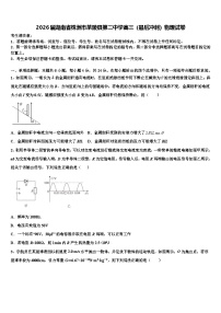 2026届湖南省株洲市茶陵县第二中学高三（最后冲刺）物理试卷含解析