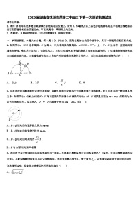 2026届湖南省株洲市茶陵二中高三下第一次测试物理试题含解析