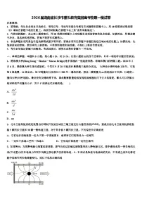 2026届湖南省长沙市雅礼教育集团高考物理一模试卷含解析