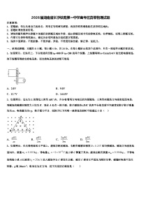 2026届湖南省长沙铁路第一中学高考仿真卷物理试题含解析