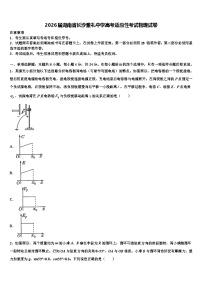 2026届湖南省长沙雅礼中学高考适应性考试物理试卷含解析
