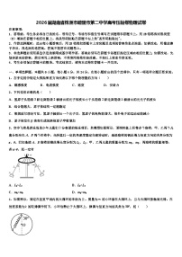 2026届湖南省株洲市醴陵市第二中学高考压轴卷物理试卷含解析