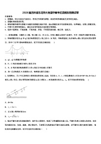 2026届吉林省东北师大附属中高考仿真模拟物理试卷含解析