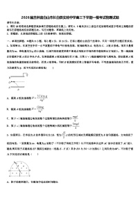 2026届吉林省白山市长白县实验中学高三下学期一模考试物理试题含解析