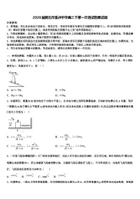2026届黄石市重点中学高三下第一次测试物理试题含解析