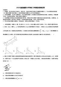 2026届湖南雅礼中学高三冲刺模拟物理试卷含解析