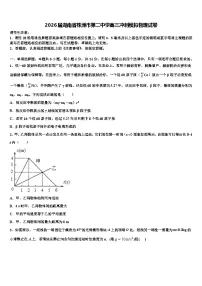 2026届湖南省株洲市第二中学高三冲刺模拟物理试卷含解析