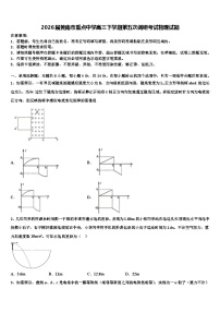 2026届黄南市重点中学高三下学期第五次调研考试物理试题含解析