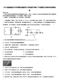 2026届湖南省长沙市岳麓区湖南师范大学附属中学高三下学期第五次调研考试物理试题含解析