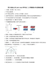 四川省凉山州2025-2026学年高二上学期期末考试物理（含答案）