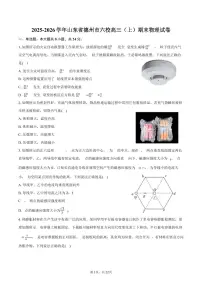 2025-2026学年山东省德州市六校高三（上）期末物理试卷（含解析）