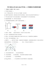 四川省凉山州2025-2026学年高二上学期期末考试物理（含答案）