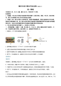 广东省梅州市2024-2025学年高一上学期1月期末物理试卷 含解析