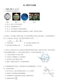 山东省菏泽市第一中学2025-2026学年高二上学期1月月考物理试题（含解析）