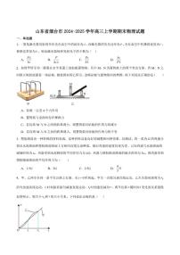 山东省烟台市2025届高三上学期期末学业水平诊断物理试卷（含答案）