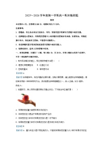 【物理】四川省内江市2025-2026学年高一上学期1月期末试题（解析版+学生版）