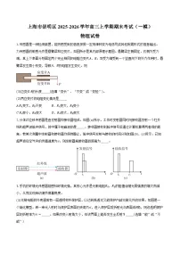 上海市崇明区2025-2026学年高三上学期期末考试（一模）物理试卷（含解析）