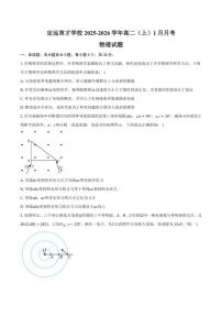 2025-2026学年安徽省滁州市定远县育才学校高二（上）1月月考物理试题