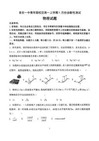 山东省泰安第一中学（青年路校区）2025-2026学年高一上学期1月诊断性测试物理试卷（PDF版，含答案）