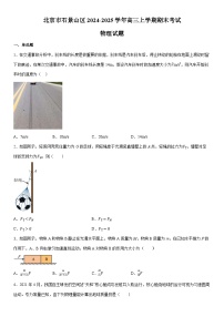 2024-2025学年北京市石景山区高三上学期期末考试物理试卷（学生版）