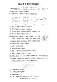 2025-2026学年湖南师范大学附属中学高二上学期1月期末物理试卷（含解析）