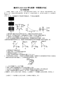 江西省赣州市2025-2026年高三上物理期末试卷（无答案）