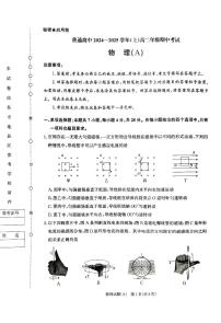 河南省普通高中2024-2025学年高二上学期期中考试物理试卷（含答案）