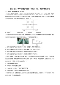 2025-2026学年安徽省合肥一中高三（上）期末物理试卷（含答案）
