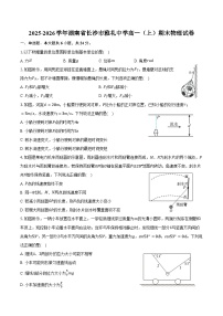 2025-2026学年湖南省长沙市雅礼中学高一（上）期末物理试卷（含答案）
