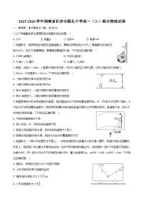 2025-2026学年湖南省长沙市雅礼中学高一（上）期末物理试卷（含答案）
