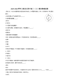 2025-2026学年上海交大附中高二（上）期末物理试卷（含答案）