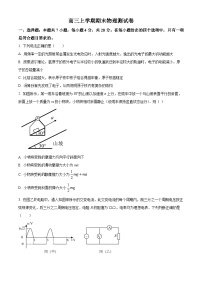 河南驻马店市2025-2026学年高三上学期期末物理试卷（原卷+解析）