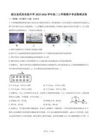 湖北省武昌实验中学2025-2026学年高二上学期期中考试物理试卷（含答案）