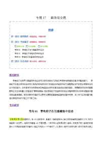 专题17 磁场综合题（3大题型）2026高考物理二轮复习题型专练（全国通用）（含答案）