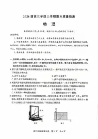 2026届湖北武汉武昌区高三上学期期末物理试卷（含答案）