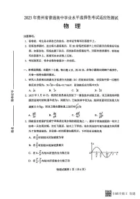 贵州2025年4月高三年级下学期适应性考试物理试卷（含答案）