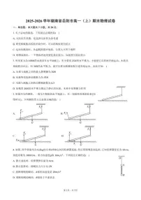 2025-2026学年湖南省岳阳市高一（上）期末物理试卷（含答案）