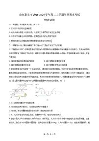 2025-2026学年山东省泰安市高二上学期学期期末物理试卷（含答案）
