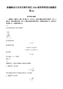 新疆维吾尔自治区喀什地区2026届高考物理自编模拟卷 (2)