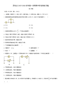 2025-2026学年新疆维吾尔自治区喀什地区莎车县高二上学期11月期中物理试卷（学生版）