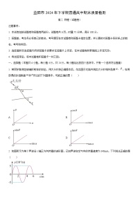 2024-2025学年湖南省益阳市高二上学期1月期末质量检测物理试卷（学生版）