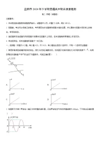 2024-2025学年湖南省益阳市高二上学期1月期末质量检测物理试卷（学生版）