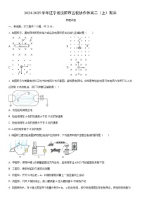 2024-2025学年辽宁省沈阳市五校协作体高二上学期期末物理试卷（学生版）
