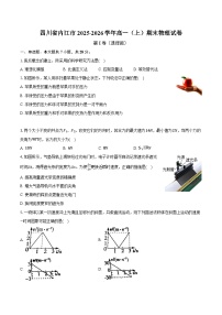 四川省内江市2025-2026学年高一（上）期末物理试卷
