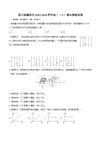 四川省德阳市2025-2026学年高二（上）期末物理试卷