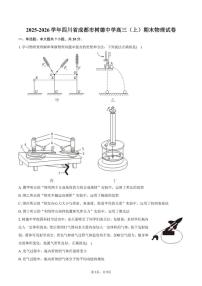 2025-2026学年四川省成都市树德中学高三（上）期末物理试卷（含答案）