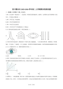 2025-2026学年四川省雅安市高二上学期期末物理试卷（含答案）